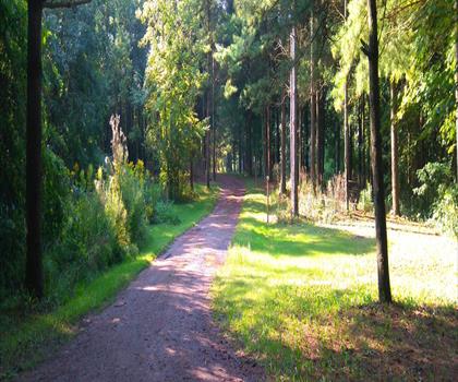 Selkirk Provincial Park trail - hiking in Southwest Ontario