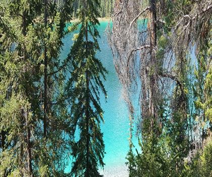 Sentier Valley of the Five Lakes Trail - randonnée en Canadian Rockies
