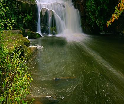 Bowen Park trail - hiking in Vancouver Island