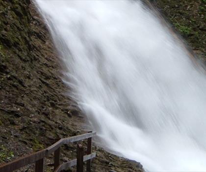 Herald Provincial Park trail - hiking in Kootenay Rockies