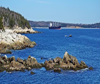 Herring Cove Provincial Park Reserve trail - hiking in Halifax Metro