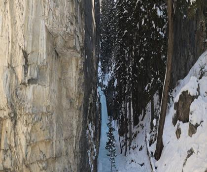 Sentier mont Fable - randonnée en Canadian Rockies