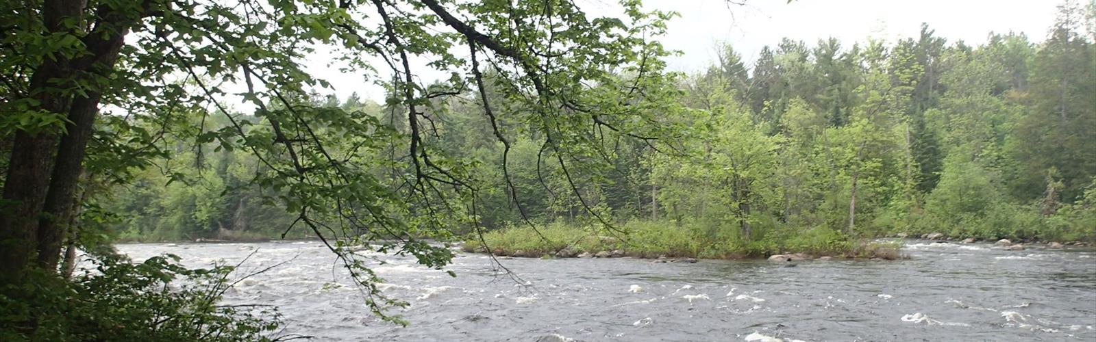 Samuel de Champlain Provincial Park trail - hiking in Mattawa