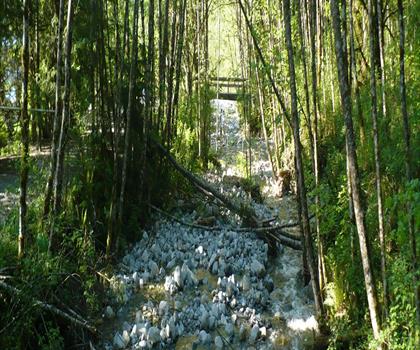 Lake Buntzen trail - hiking in Vancouver Coast Mountains