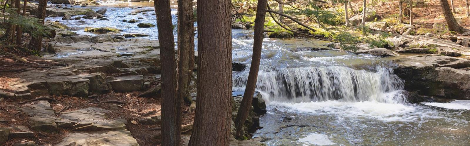 Falling Brook trail - hiking in Northumberland Shore