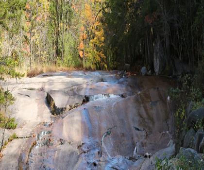 Sentier gorge Flume - randonnée en Montagnes Blanches