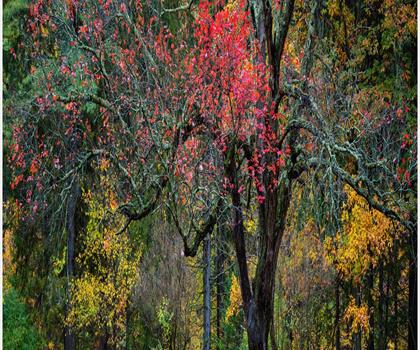 Catherine Valley Trail (Bicycle Trail and Hiking) trail - hiking in Finger Lakes