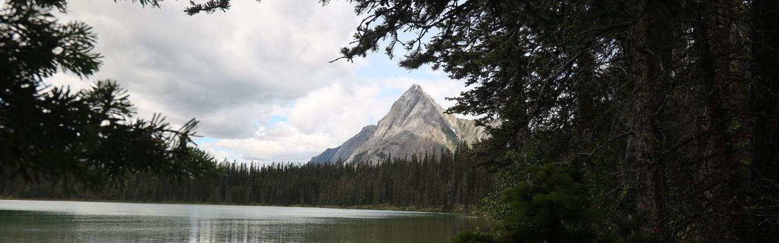 Sentier mont Shark - randonnée en Canadian Rockies