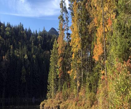Sentier Champney Falls Trailhead - randonnée en Montagnes Blanches