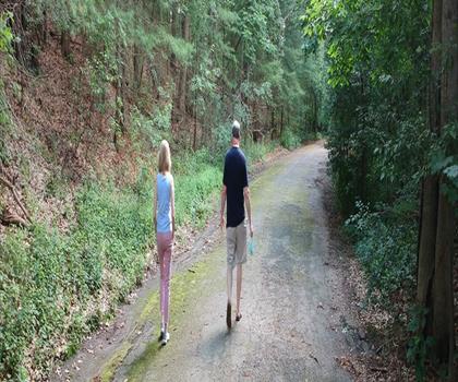 Bare Cove Park trail - hiking in South Shore
