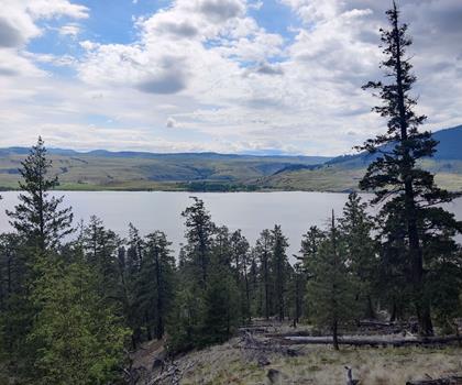 Monck Provincial Park trail - hiking in Thompson Okanagan