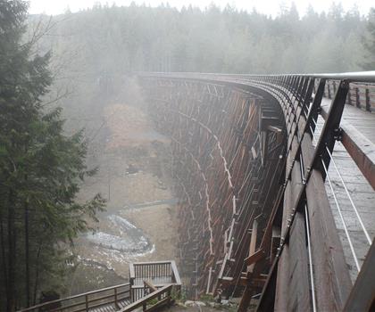 Kinsol Trestle Trail Recreation Site trail - hiking in Vancouver Island