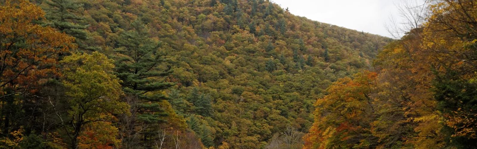 Tannery Falls trail - hiking in Western Massachusetts