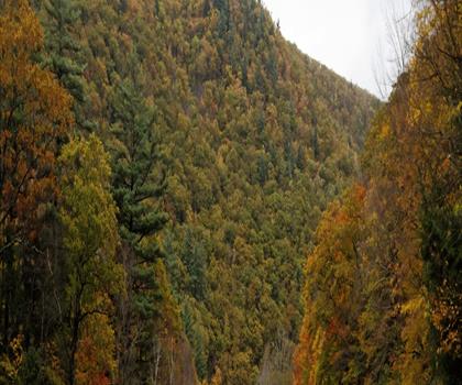 Tannery Falls trail - hiking in Western Massachusetts