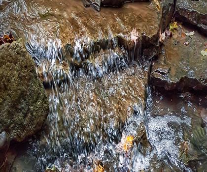 Borer's Falls trail - hiking in Hamilton, Halton and Brant