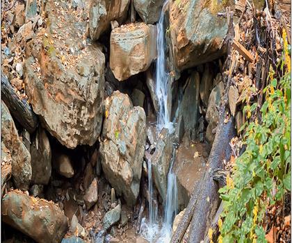 Holland Park Garden Gallery trail - hiking in Hamilton, Halton and Brant