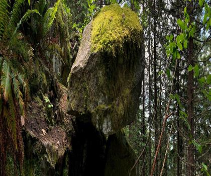 Cypress Provincial Park trail - hiking in Vancouver Coast Mountains