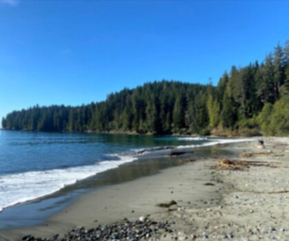 Sentier China Beach - randonnée en Île de Vancouver