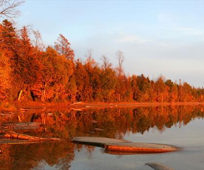 Cyprus Lake Campground trail - hiking in Bruce Peninsula, Southern Georgian Bay and Lake Simcoe