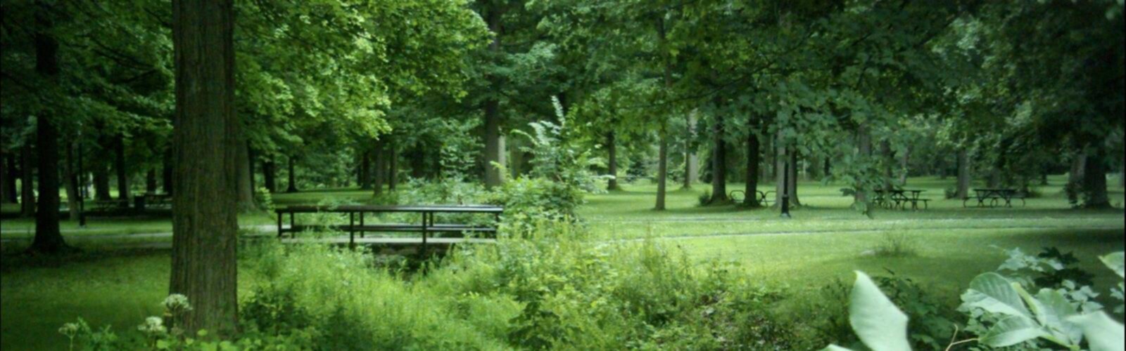 Sentier Parc Angrignon - randonnée en Montréal