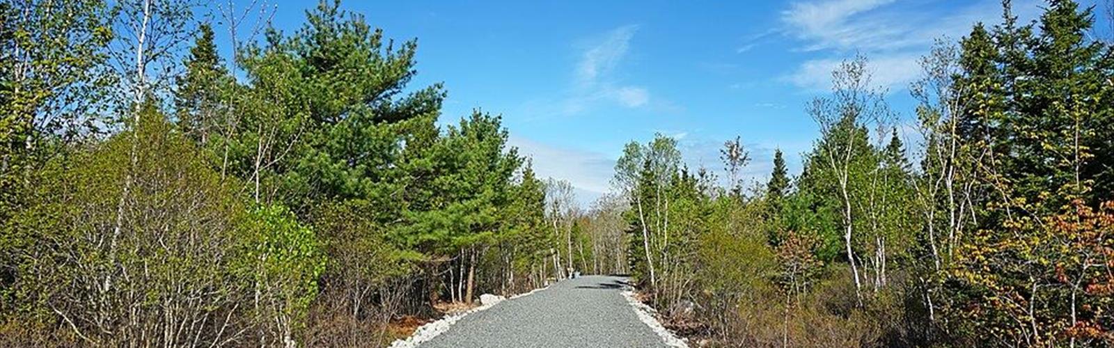 Long Lake Provincial Park trail - hiking in Halifax Metro