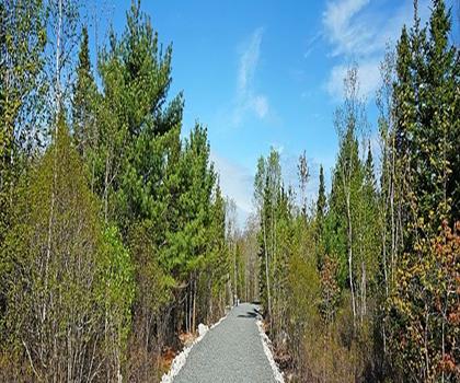 Long Lake Provincial Park trail - hiking in Halifax Metro