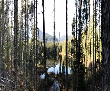 Sea to Sky Trail trail - hiking in Vancouver Coast Mountains