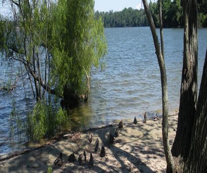Sentier lac Ronkonkoma County Park Home of Syag Sports - randonnée en Long Island