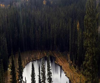 Sentier parc provincial Narrow Hills - randonnée en Unlimited Lakes & Parkland
