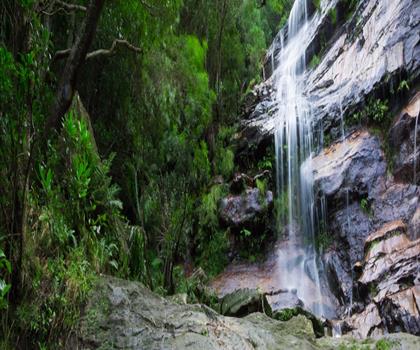 Gordon Falls trail - hiking in Albert County