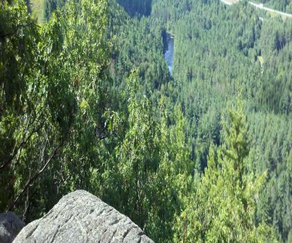 Hidden Pond Campsite trail - hiking in Adirondacks