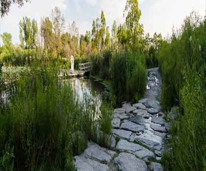 Scarborough Bluffs Park trail - hiking in Greater Toronto Area