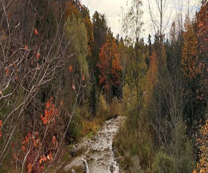Rouge National Urban Park trail - hiking in Greater Toronto Area