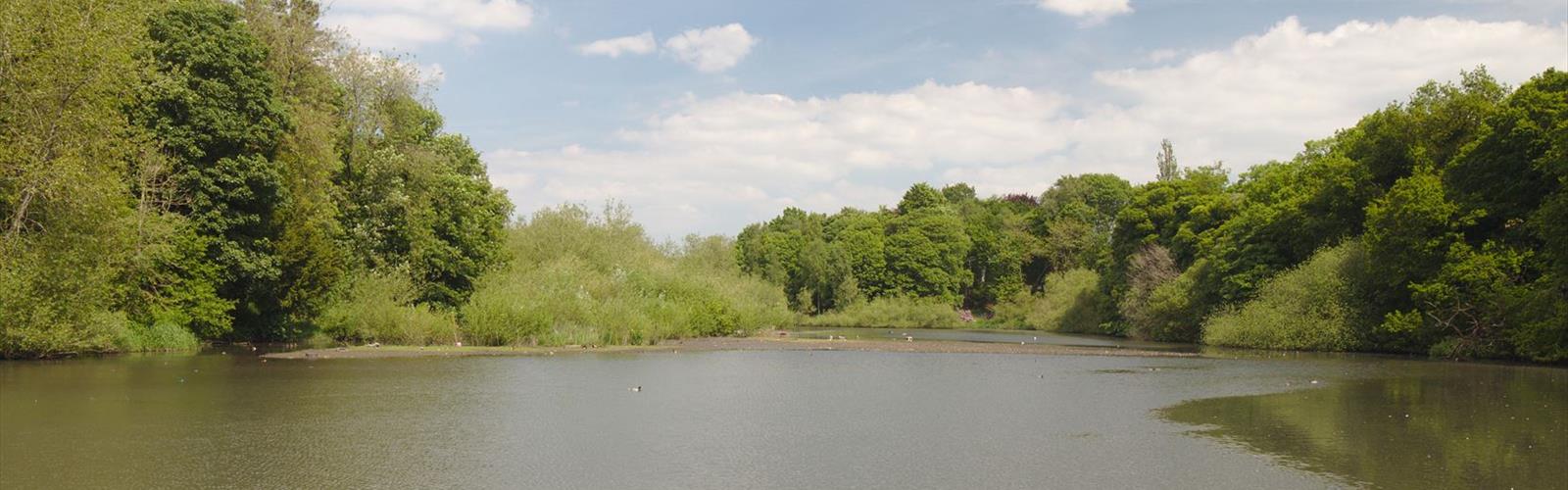 Newton Lake Park trail - hiking in Haddon Township