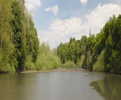 Sentier parc Newton Lake - randonnée en Sud du New Jersey