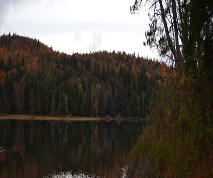 Forked Lake Campground trail - hiking in Adirondacks