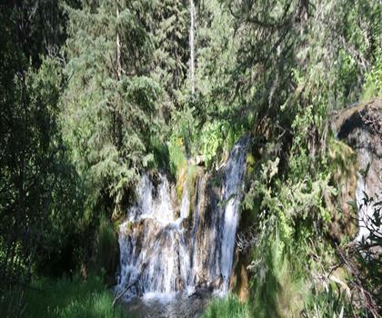 Big Hill Springs Provincial Park trail - hiking in Calgary & Area