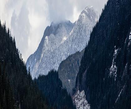 Eagle Bluff Trail trail - hiking in Vancouver Coast Mountains