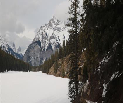 Sentier sentier Banff Legacy - randonnée en Canadian Rockies