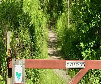 White Lake Natural Resource Area trail - hiking in Skylands Region