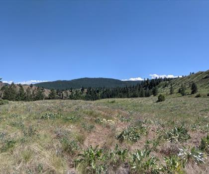 Scenic Canyon Regional Park trail - hiking in Thompson Okanagan