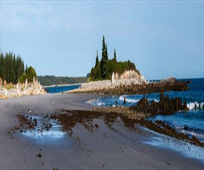 Thomas Raddall Provincial Park trail - hiking in South Shore