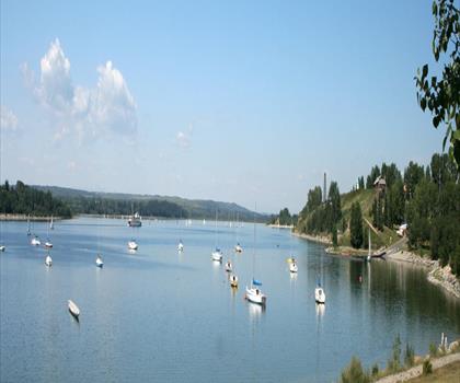 North Glenmore Park trail - hiking in Calgary & Area