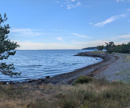 Point Pleasant Park trail - hiking in Halifax Metro