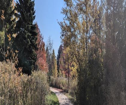 Richmond Green Skate Trail trail - hiking in York, Durham and Headwaters