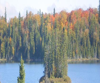 Sentier parc provincial Caliper Lake - randonnée en Northeastern Ontario