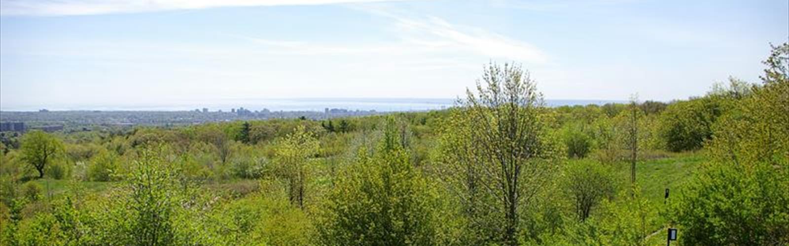 Hiking Kerncliff Park - panoramic view