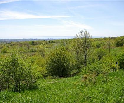 Kerncliff Park trail - hiking in Hamilton, Halton and Brant