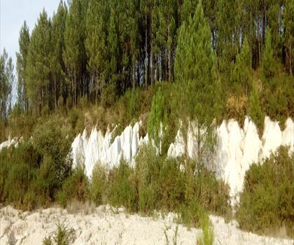 Landes et carrières de Guizengeard trail - hiking in Charente
