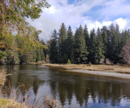 Sentier Sandbar Trail - randonnée en Île de Vancouver